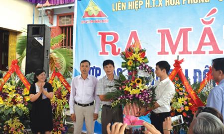 HTX Na dai Đông Triều (Quảng Ninh): Đến lúc hộ trồng na cần HTX