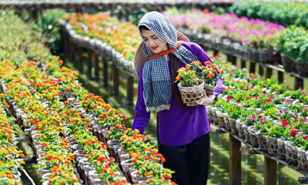 HTX Tân Quy Đông: Điểm đến lý tưởng!