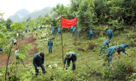 Hà Giang: Đem lại màu xanh từ HTX dân quân trồng rừng