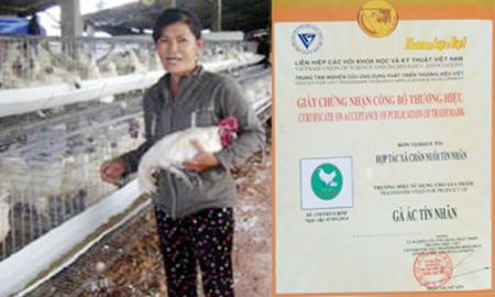 HTX Tín Nhân (Tiền Giang): Chất lượng là trên hết