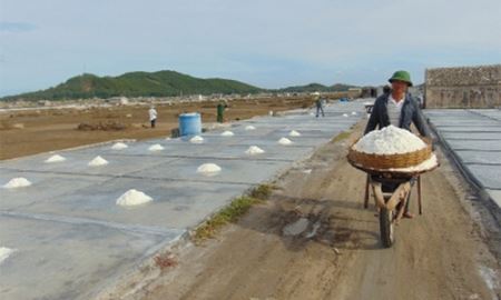 HTX Yên Đông: Mang lại vụ muối thắng lợi