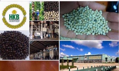 HKB: tài sản trị giá 4 tỷ đồng, định giá thành 28 tỷ đồng để góp vốn