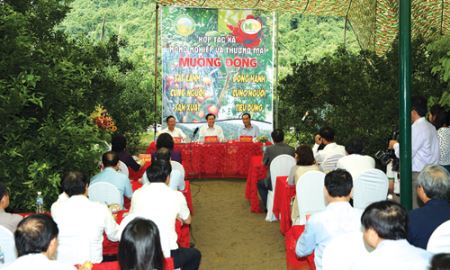Mô hình HTX bài bản và nhân văn