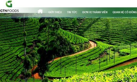  GTNFoods đã mua thêm 3,2 triệu cổ phiếu Vilico