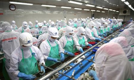 Sau 2 năm rời sàn chứng khoán, 'Vua tôm' Minh Phú sắp quay trở lại 