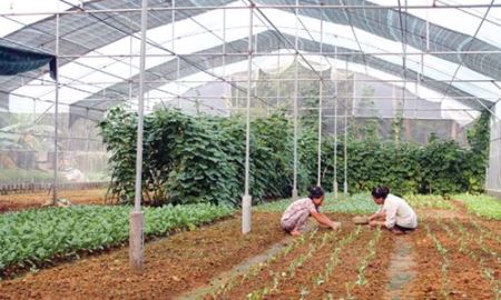 Hợp tác xã đầu tư phát triển kết cấu hạ tầng sẽ được hưởng nhiều ưu đãi 