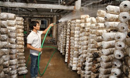 HTX Tuấn Linh (Quảng Bình): “Cánh én” nhỏ... làm nên thành công!