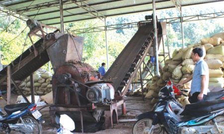 HTX Công Tâm (Yên Bái):  “Chuyển mình” mạnh mẽ sau chuyển đổi
