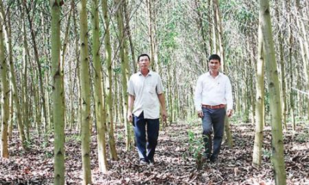 HTX Thọ Trung đẩy mạnh phát triển nông - lâm