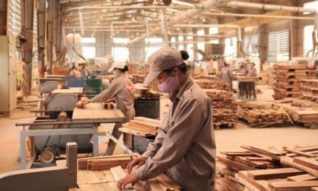 Xuất khẩu đồ gỗ và bài toán nguyên liệu