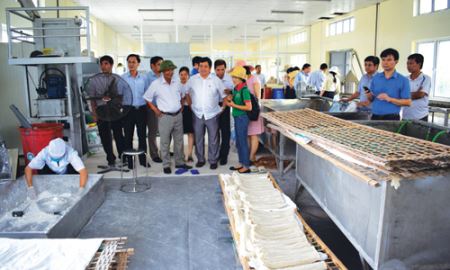 Nhìn lại 5 năm thực hiện Luật HTX 2012: Chủ động nhưng thiếu nguồn lực