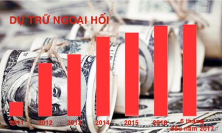 Dự trữ ngoại hối đạt kỷ lục:  Tín hiệu vui với nền kinh tế