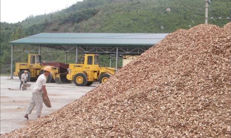 Thiếu liên kết, xuất khẩu dăm gỗ “đuối sức”