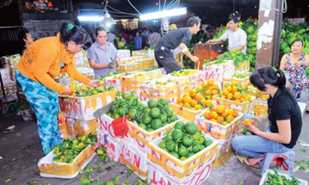 Đưa nông sản vào chợ đầu mối:  Thương lái “đạo diễn”, nông dân bế tắc