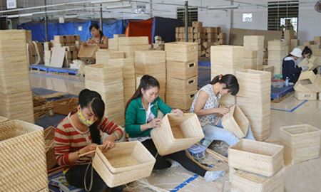 HTX Bảo Trung khẳng định chất lượng trên thị trường xuất khẩu