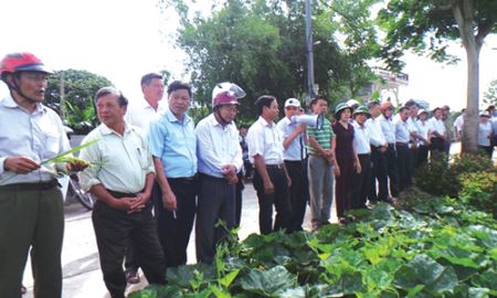 Nhìn lại gần 5 năm thực thi Luật HTX 2012: Vì sao Luật HTX khó vào HTX?