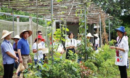 Du lịch nông nghiệp Hà Nội:  Hiện thực hóa những tiềm năng đang có