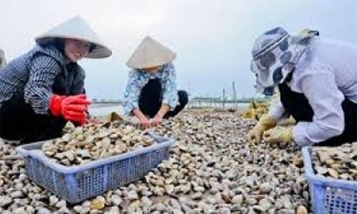 789bet tặng 100k