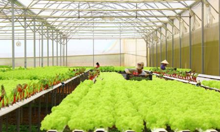 Doanh nghiệp nhỏ vẫn chưa muốn “lớn”