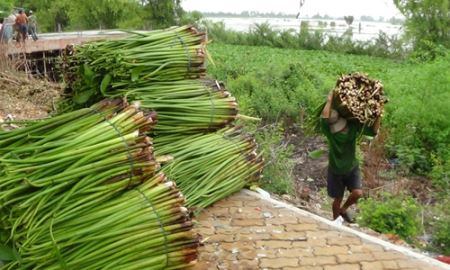 Tăng tính bản địa, nông sản sẽ tăng giá trị