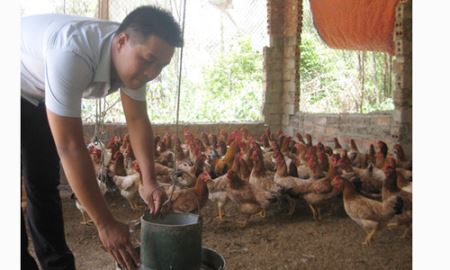 Nông dân khó vay vốn!