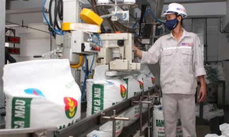 Đạm Cà Mau: Một đại gia kín tiếng