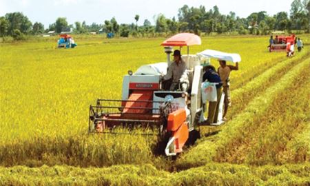 HTX trong xây dựng nông thôn mới  và tái cơ cấu nông nghiệp