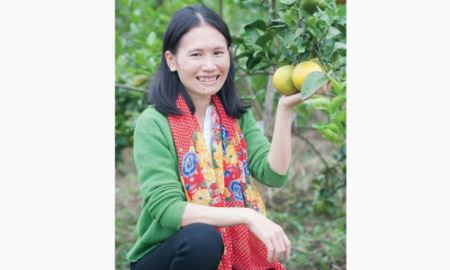 Trồng cam bằng chế phẩm sinh học