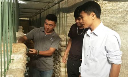 Tổ hợp tác Ea Kpam góp phần hoàn thành tiêu chí mô hình sản xuất