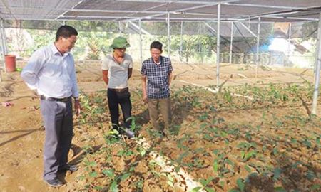 Sốp Cộp chú trọng HTX kiểu mới để xây dựng nông thôn mới