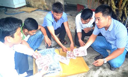 Quảng Nam:  Thanh niên năng động phát triển kinh tế