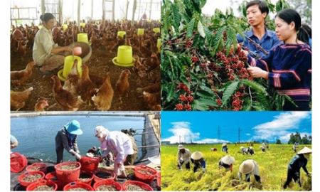 Bảo hiểm nông nghiệp vẫn “ế”!