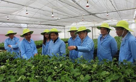 Tìm hướng đột phá  phát triển nông nghiệp công nghệ cao
