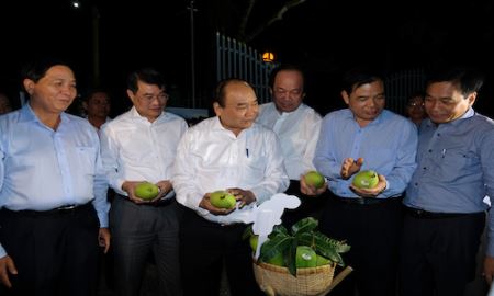 Thủ tướng: HTX kiểu mới không phải ép bà con vào 