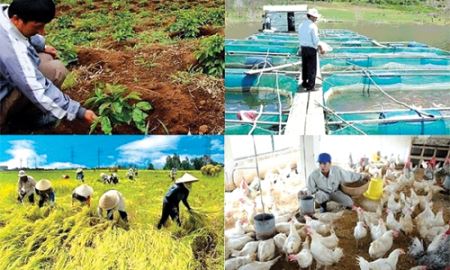 Vì sao bảo hiểm nông nghiệp khó tiếp cận nông dân?