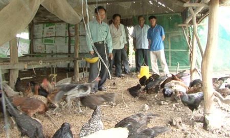 Sóc Trăng phát triển HTX gắn với xây dựng nông thôn mới