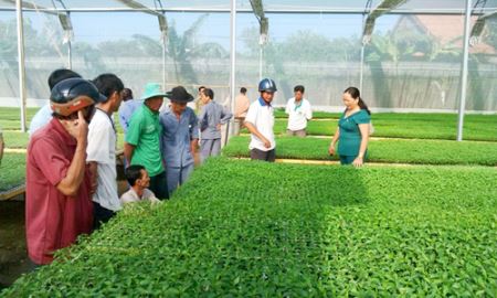 Nông nghiệp bao giờ “làm ăn lớn”?