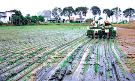 Xây dựng nông thôn mới  gắn với phát triển HTX nông nghiệp 