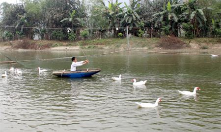 Giải bài toán môi trường nhờ chăn nuôi kết hợp