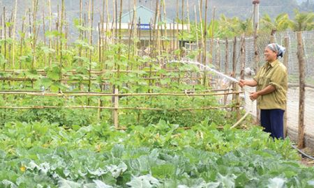 Điện Biên phát triển HTX  phù hợp vùng sâu 