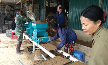 HTX Thanh Liên (Nghệ An): Hiệu quả từ mô hình  gieo mạ khay và cấy máy