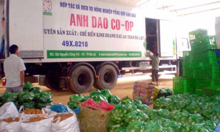 Giải bài toán đầu ra cho HTX nông nghiệp