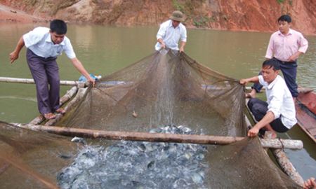 Điện Biên với điển hình HTX Pe Luông 