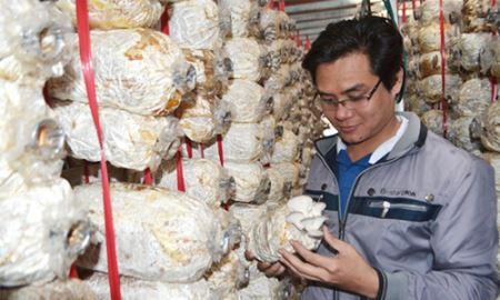 Sản xuất sáng tạo, hiệu quả môi trường
