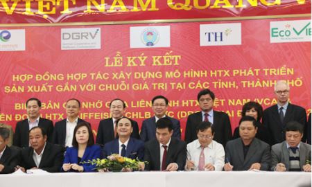 Doanh nghiệp “bắt tay” HTX xây dựng chuỗi liên kết