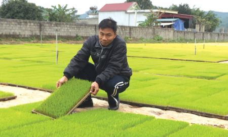 Thanh Hóa xây dựng HTX kiểu mới gắn với chuỗi giá trị sản phẩm
