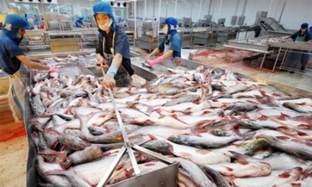 HVG và nỗi niềm cổ phiếu thủy sản