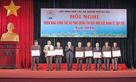 Liên minh HTX Tp.Hà Nội: Vững mạnh để hỗ trợ,  tư vấn các thành viên