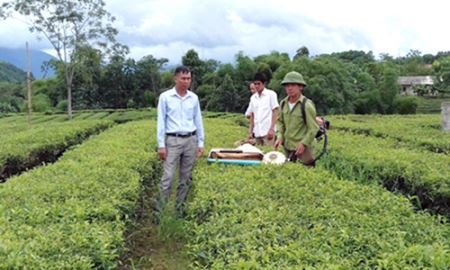 Văn Yên (Yên Bái): Phát triển nông nghiệp gắn với xây dựng mô hình kinh tế