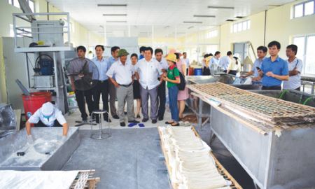 Lên đường xây dựng HTX gắn với chuỗi giá trị